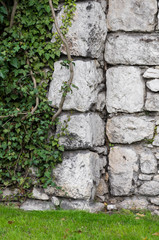 Medieval castle wall overgrown with ivy