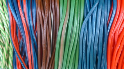 Many colorful licorice snakes
