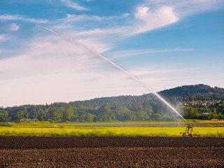 Irrigation system watering freshly seeded field