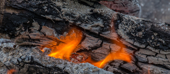 ein Feuer verbrennt Holz zu Asche