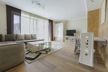Interior of a living room and a drawing room in a guest house