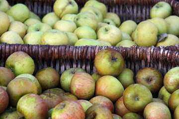 Apple baskets