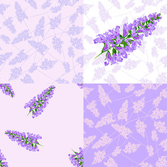purple flowers seamless pattern