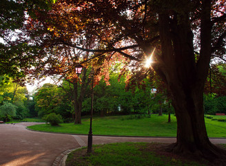 Beautiful sunny evening in green city park