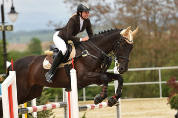 show jumping