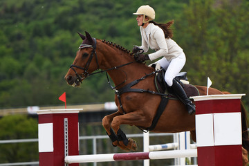 équitation