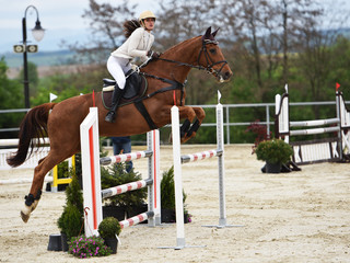 équitation
