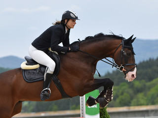 Equitation