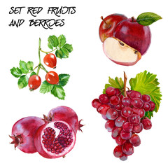 Set with red grapes, red apple, rosehip and pomegranate branch.