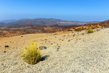 Volcanic bombs on Montana Blanca, Teide National Park, Tenerife, Canary Islands, Spain