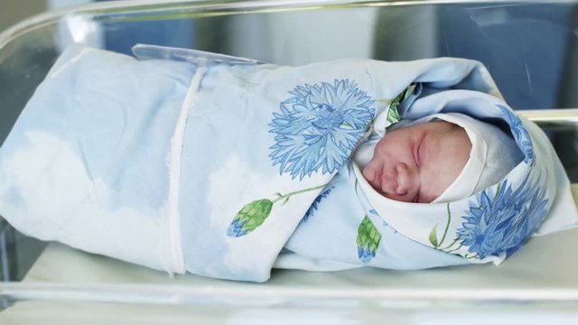 Swaddled in blue blanket newborn baby lay in maternity hospital in transparent box. Neonate child. Clinic