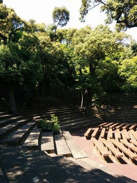 森の音楽堂