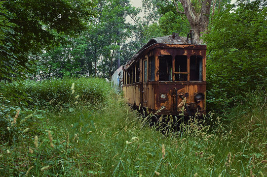 eine alte Straßenbahn die Verlassen ohne Energie überwuchert von Pflanzen im Wald steht