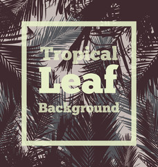 tropical leaf background