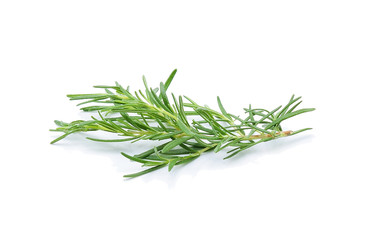 rosemary isolated on white background