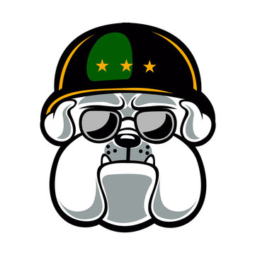Bulldog Army Mascot