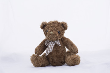 Teddy bear on a white background .