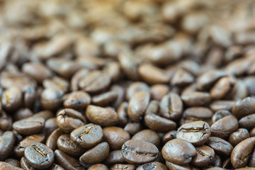 Roasted coffee seed for fresh coffee background