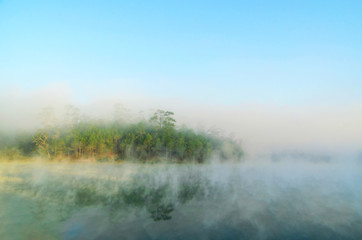 Morning fog over lake with pine forest at Galyani Vadhana District in Thailand