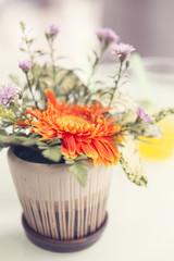 bouquet of blooming orange gerbera