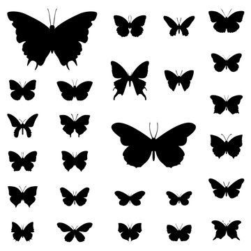 Butterfly silhouette illustration vector set