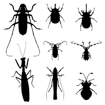 insect silhouette illustration vector set
