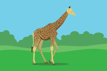 giraffe single isolated with grass and bush tree background vector graphic illustration