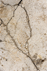 Closeup broken cement floor for background use