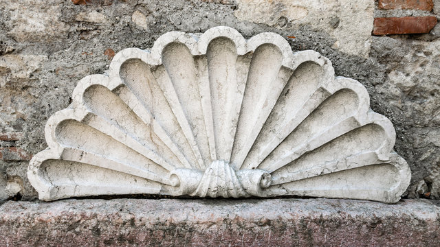 Decorative shell carved in white marble.