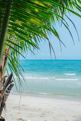 Image of palm tree and white sand beach from Thailand