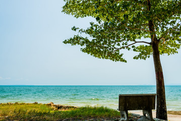 Fototapeta na wymiar Lonely chair and tree on the beach