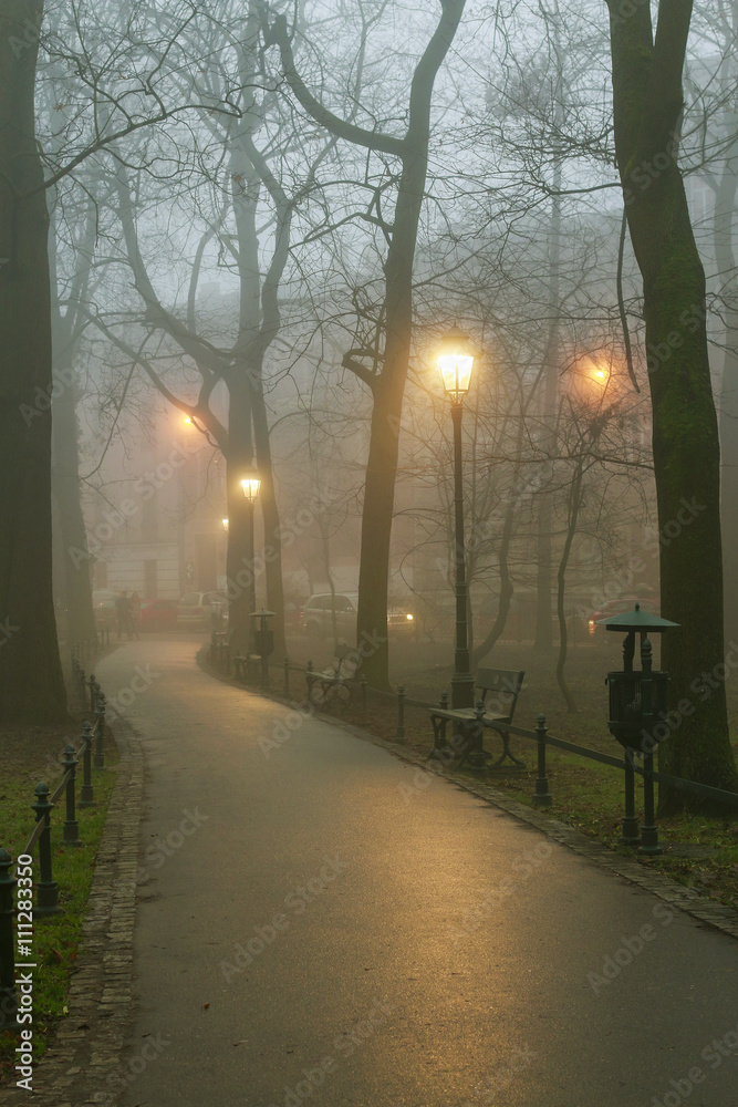 Canvas Prints krakow,poland - october 14, 2015: misty evening in planty park