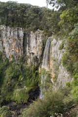Fototapeta na wymiar Steilwand mit Wasserfall - Australischer Regenwald