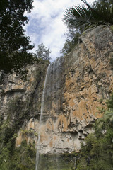 Wasserfall im australischen Regenwald