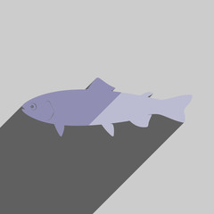 Flat icons with shadow of trout