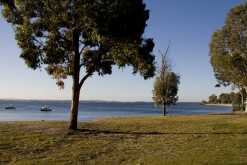 Obraz premium Australiens Küste