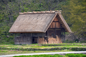 Fototapeta na wymiar Shirakawa-Village world Heritage in Japan