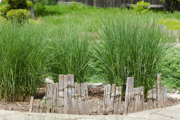 Fototapeta na wymiar Bamboo fence for flowerbeds