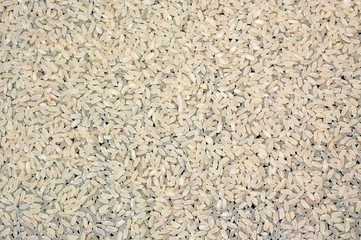 Background from risotto rice