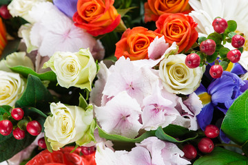 The background image of the colorful flowers with hydrangea, bus
