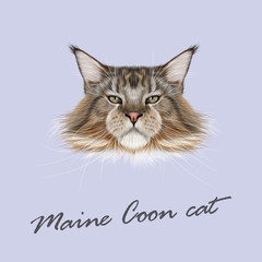 Vector Illustrated Portrait of Maine Coon cat.