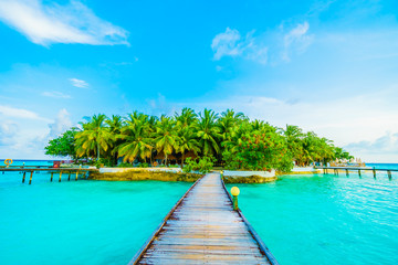 Fototapeta premium Maldives island