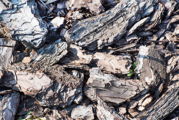 wood chip background texture