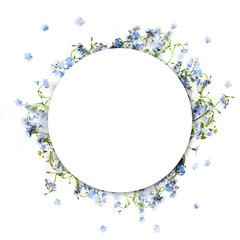 Forget-me-not blue forest flowers - nature circle background