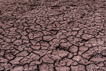 Dried land background