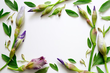 Wedding invitation card background