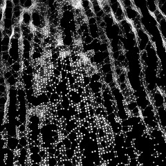 Network Background. Connection Structure. Wireframe Polygonal Vector Illustration. 3D Technology Style. Cobweb Or Spider Web. 