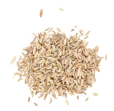 Fennel Seeds Isolated