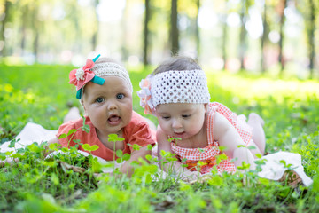 Two baby. They are outdoors.