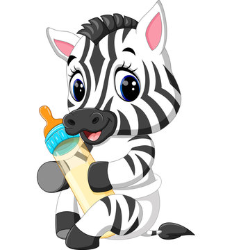 illustration of cute baby zebra